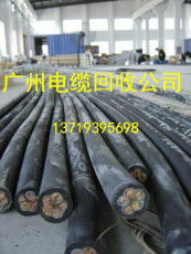 綠色廣州，同盈與您共創循環未來